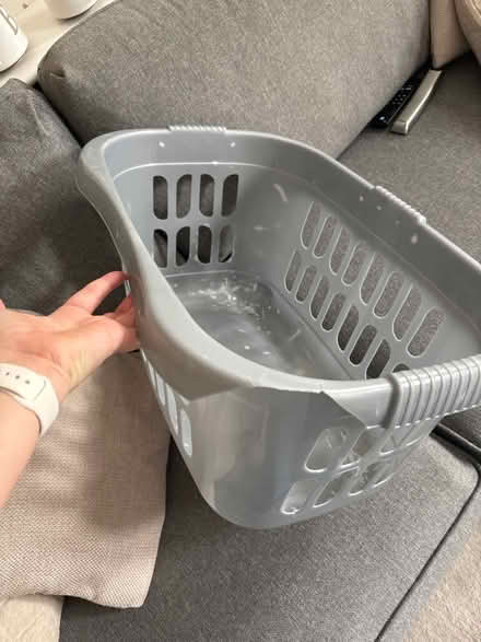 Photo of free Washing basket (Broomgrove TN34) #1