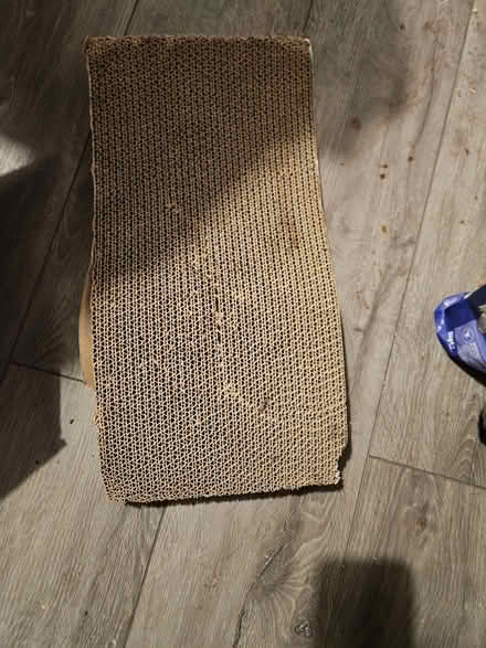 Photo of free Cat litter tray liners and scratching posts (Loughborough LE11) #3