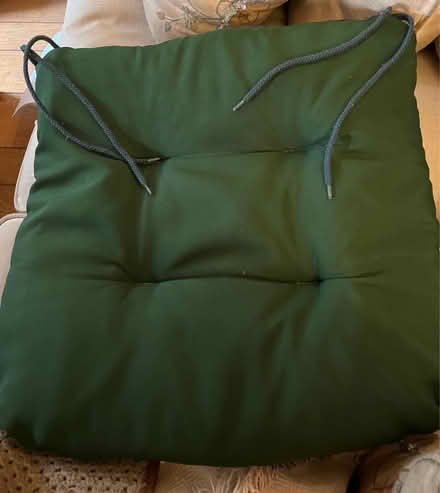 Photo of free Outdoor Seat Cushion Freshly Washed (IG10 Loughton) #1