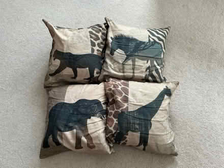 Photo of free 4 African animal print cushions (Sprey Point TQ14) #1