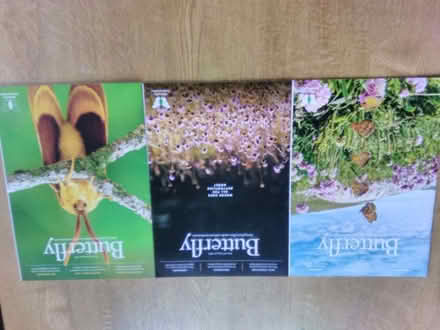 Photo of free 'Butterfly' magazine. (Fareham PO15) #1
