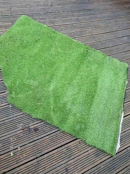 Photo of free Artificial grass (Botley OX2) #4