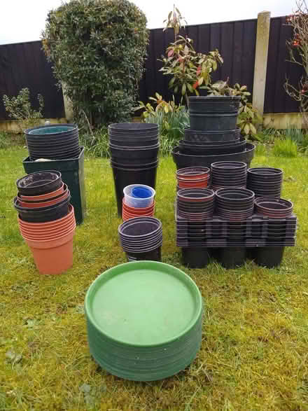 Photo of free Used Plant/Seedling Pot Selection (Hatfield Peverel CM3) #1