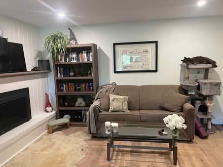 Photo of free Pull out couch (Etobicoke self stor unit) #2