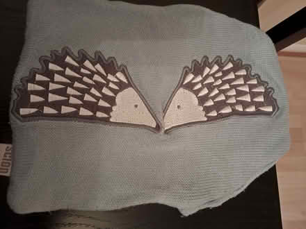 Photo of free Scion hedgehog hot water bottle cover (Lower Earley RG6) #1