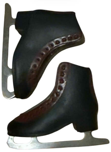 Photo of free American Athletics Shoe Skates (Brooklyn Storage) #1