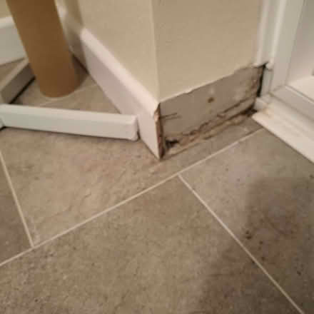 Photo of skirting board (Hesketh Bank PR4) #2