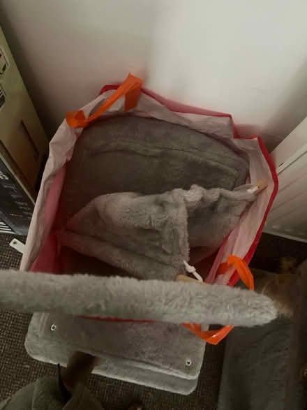 Photo of free Cat Tree - for DIY enthusiast (West Ealing) #2