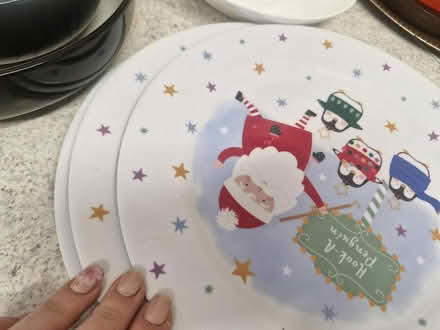 Photo of free Plates (Hanworth RG12) #3