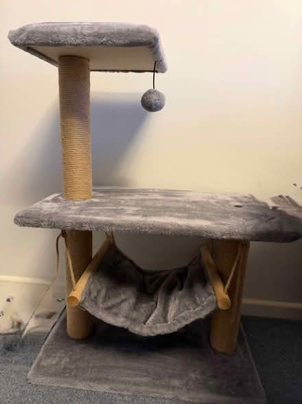 Photo of free Cat scratching tree 80cm height (Bowerhill SN12) #1
