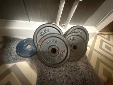 Photo of free Two dumbbells and some weights to go on them (AB24) #1