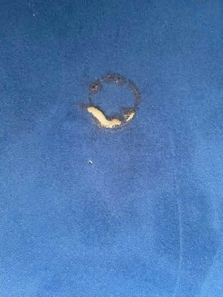 Photo of free Sofa corner (Morden) #2