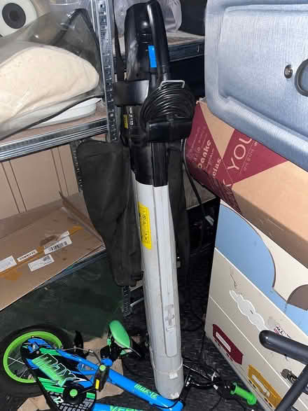 Photo of free Leaf blower (Palmerston road, E17) #2