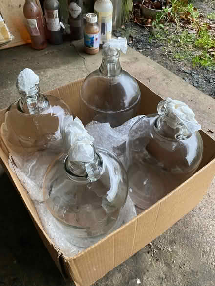 Photo of free 4 demijohns (Ednam TD5) #1