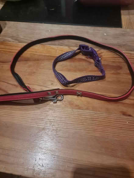 Photo of free Dog lead and puppy collar (headington OX3) #1