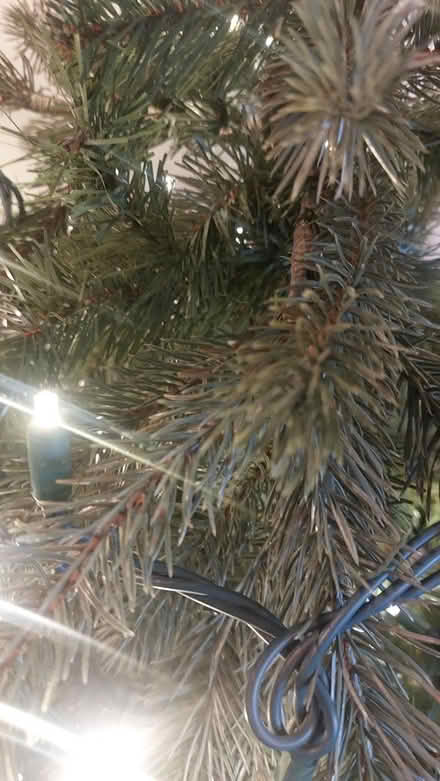 Photo of free 6 foot artificial Christmas tree (Beaches, Toronto) #2