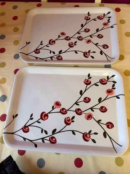 Photo of free 2 plastic trays (AB25) #1