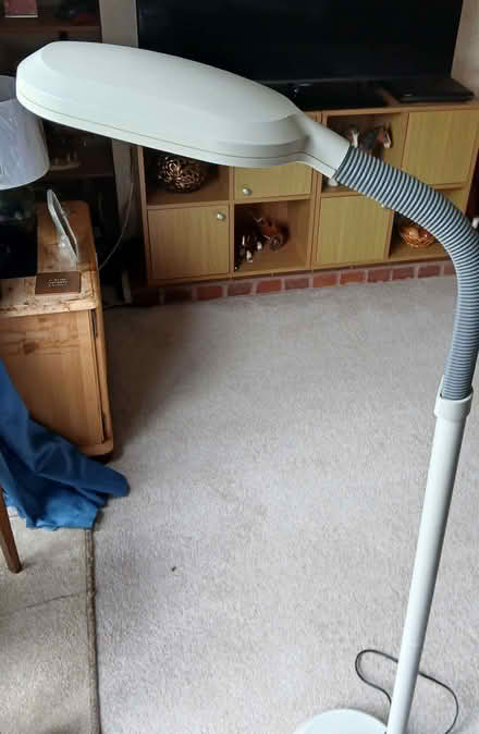 Photo of Daylight lamp (Knaphill GU21) #1