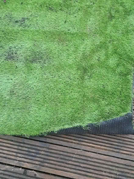 Photo of free Artificial grass (Botley OX2) #3