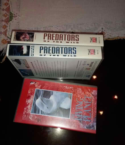 Photo of free Wildlife videos (Bourne end) #1