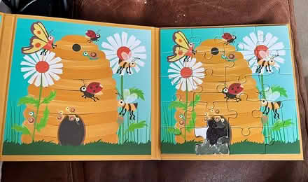 Photo of free 3+ magnetic puzzles (CM12) #3