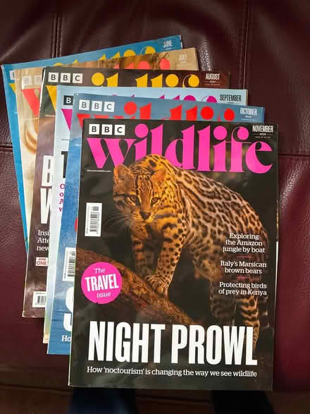 Photo of free BBC Wildlife magazines (Lower Tranmere CH41) #1