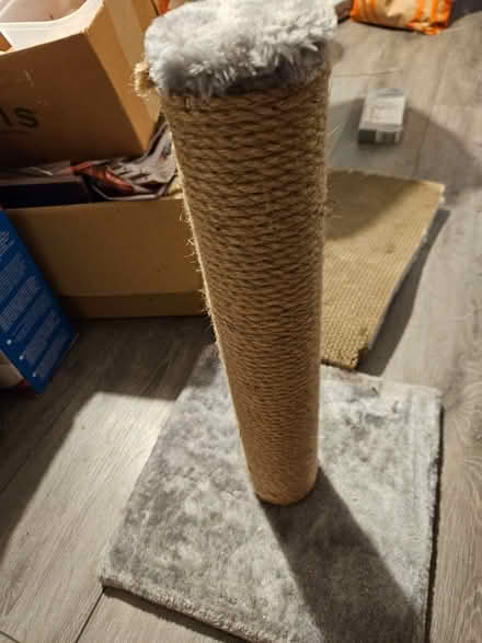 Photo of free Cat litter tray liners and scratching posts (Loughborough LE11) #2
