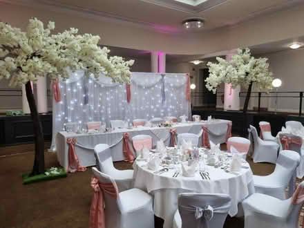 Photo of free Stretchy white chair covers (Branston DE14) #3