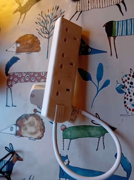 Photo of free Extension plug (Teddington TW11) #1