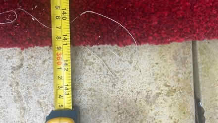 Photo of free Red Carpet -runner carpet (Haywards Heath RH16) #4