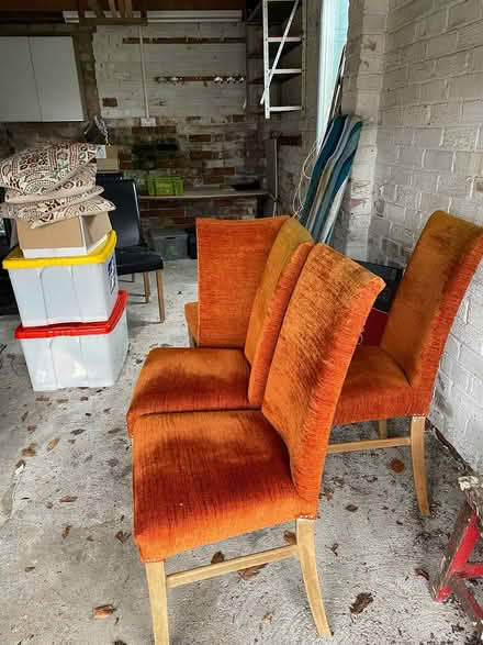 Photo of free 4 Clean Dining Chairs (Silverdale) #1