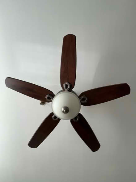 Photo of free ceiling fan (Whitneyville) #1