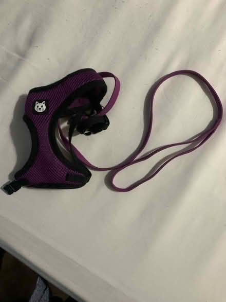 Photo of free Purple Cat Harness (Colney Hatch N10) #1