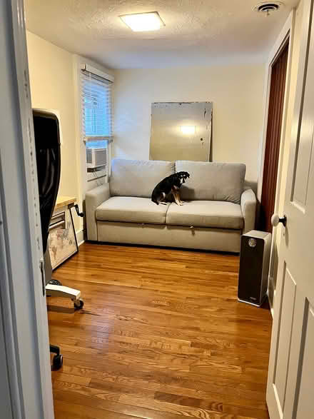 Photo of free Pull out couch (Grove St) #3