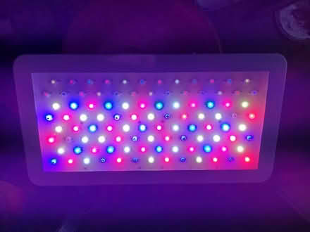 Photo of free LED Grow lamp with hanging wires and clips (Kidlington OX5) #1