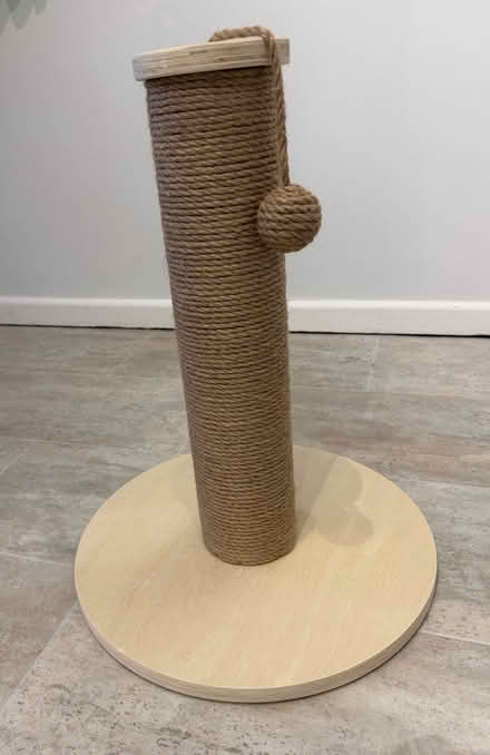 Photo of free Cat scratching post brand new 55cm high (Bowerhill SN12) #1