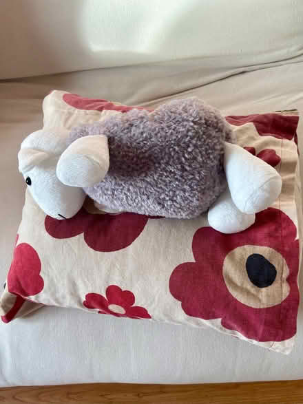 Photo of free Beanbag for pet (Brookfield PR2) #2