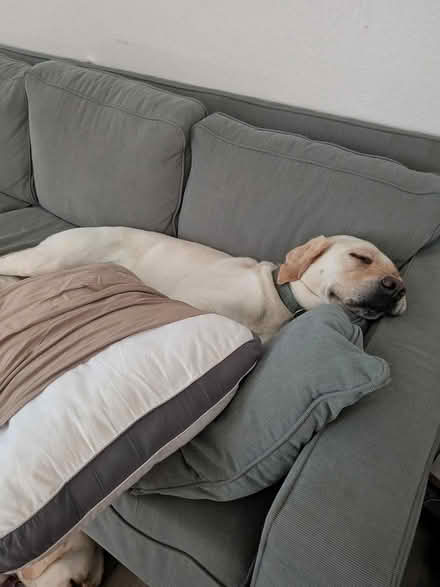 Photo of free couch and chair with Ottoman (East end of Ventura) #3