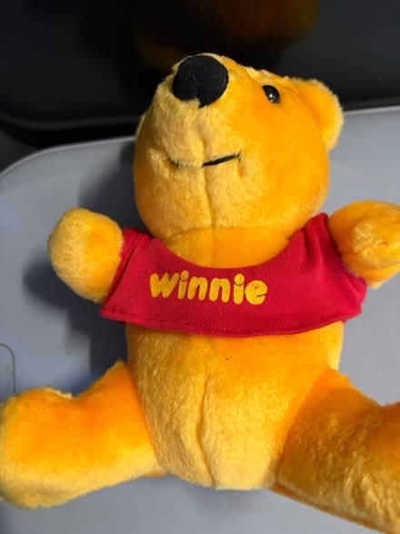 Photo of free Winnie The Pooh (Westbury Wilts BA13) #2