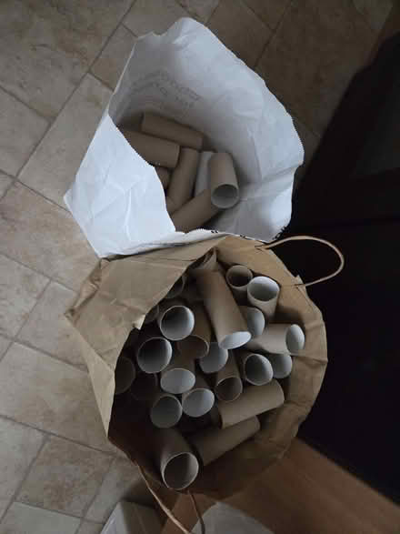 Photo of free Cardboard toilet roll insides (LS7, Chapel Allerton, Leeds) #1