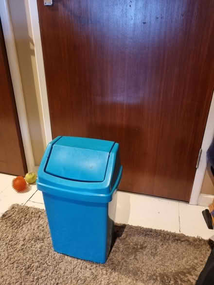 Photo of free Plastic bin (SE20) #1