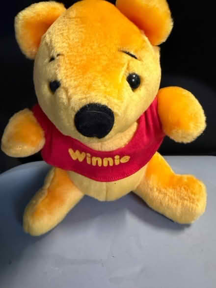 Photo of free Winnie The Pooh (Westbury Wilts BA13) #1