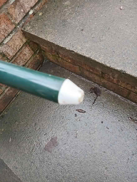 Photo of free Parasol (Sleights, YO21) #3