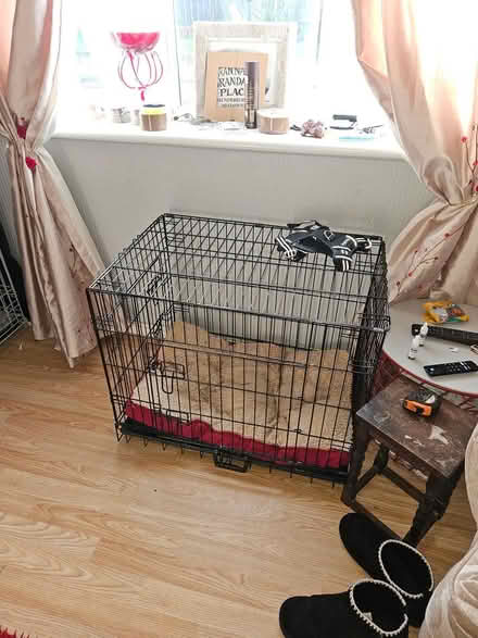 Photo of free Dog crate (De72 3jj) #1
