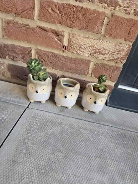 Photo of free 3 Ceramic Owl Planters (TW8 Brentford) #1