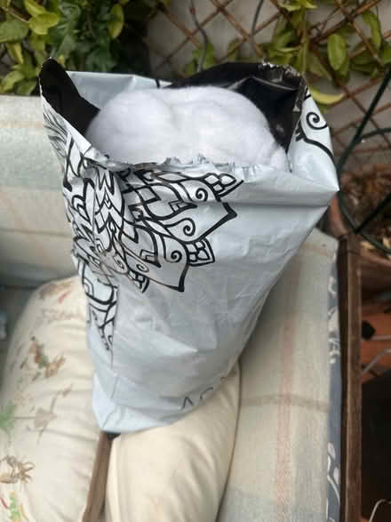 Photo of free polyester stuffing (Heysham LA3) #1