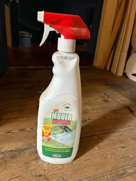 Photo of free Mould remover (Ladywell SE13) #1