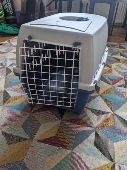 Photo of free Cat basket (Surrenden BN1) #3