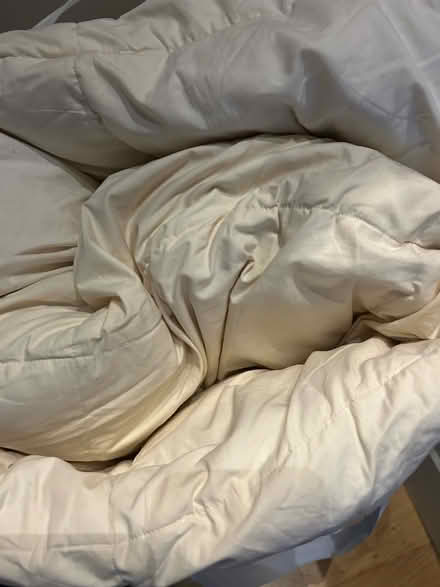 Photo of free Mattress topper for double bed (Earls Court SW5) #1