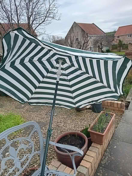 Photo of free Parasol (Sleights, YO21) #2